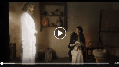 різдвяний кліп