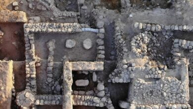 Ковчег Заповіту