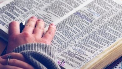 Всесвітнім роком Біблії