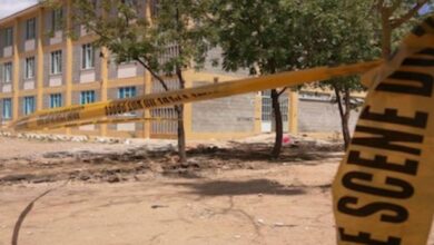 в Центральноафриканській республіці