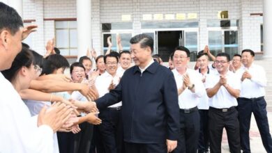 керівні принципи