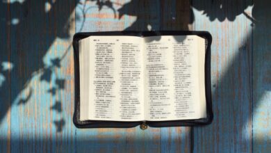 конфіскували Біблії