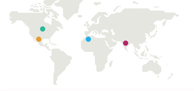 жук-бомбардир