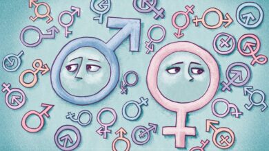 Трансгендерна ідеологія