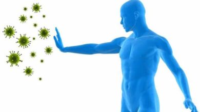 імунна система