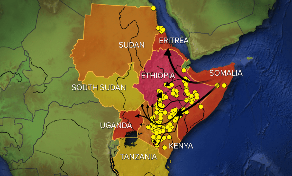 нашестя сарани