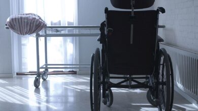 проведення евтаназії