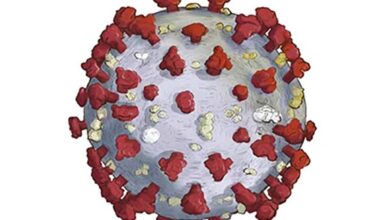 коронавірусом інфіковано