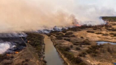 спалювання сухої трави