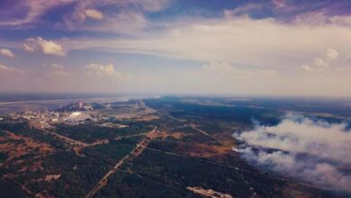 у Чорнобильській зоні