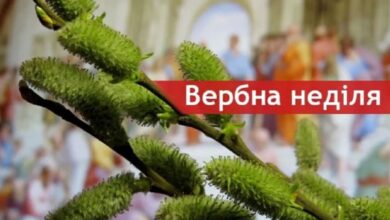 проводити богослужіння