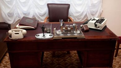 шукають істину