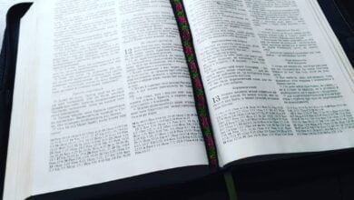 Біблія Олександра Гижі