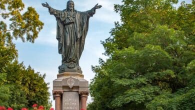 в університеті