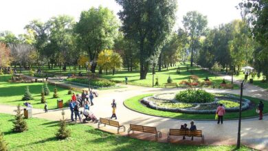 свіжі звіти