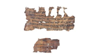 Сувої Мертвого моря ДНК