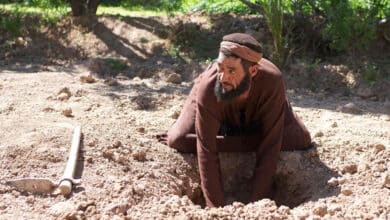 про таланти