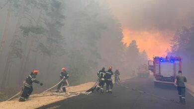 лісових пожеж