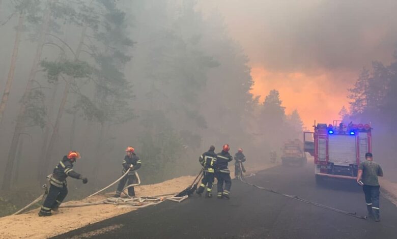 лісових пожеж