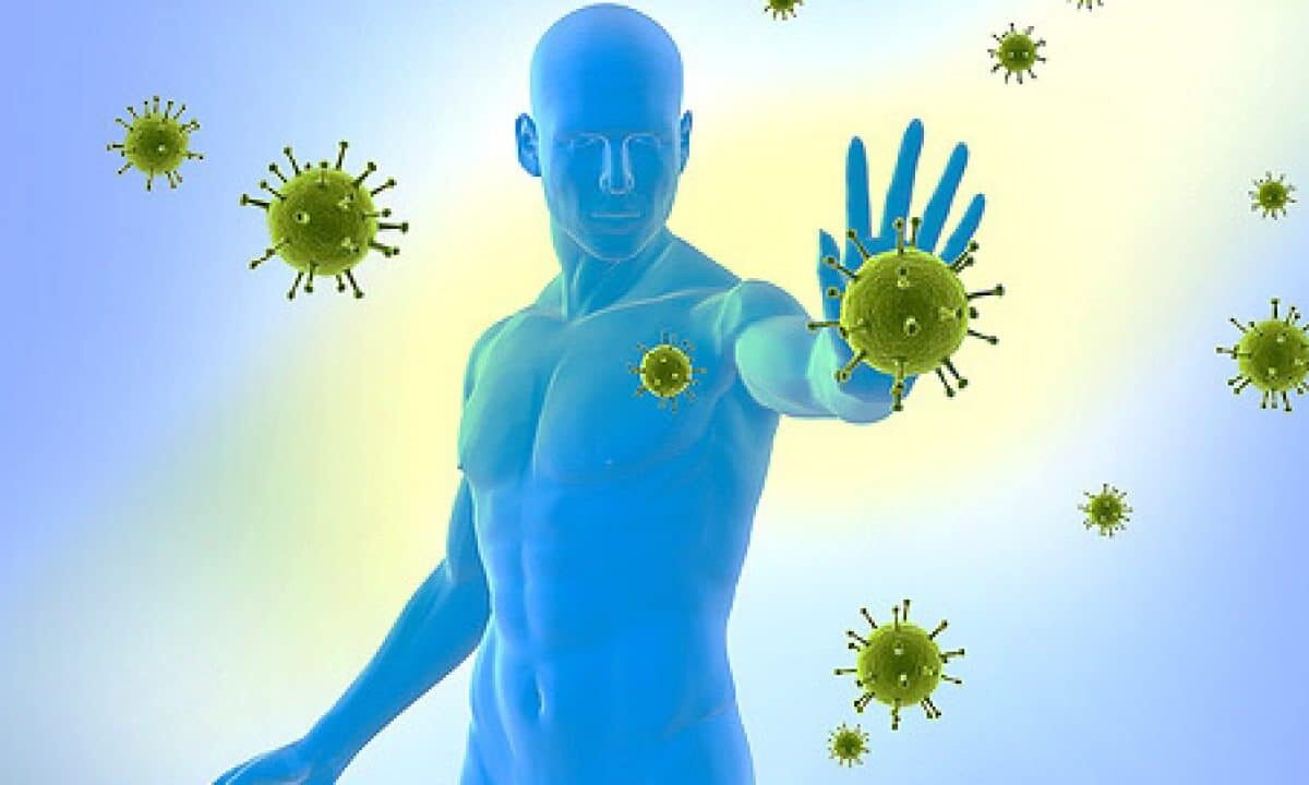 імунна система