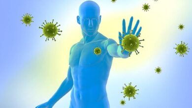 імунна система