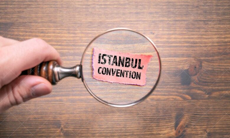 про стамбульську конвенцію
