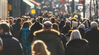 опитування