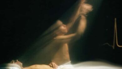 вічне життя