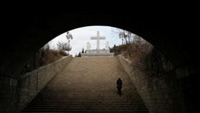 Комуністичний підручник