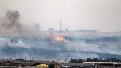 загорівся ліс