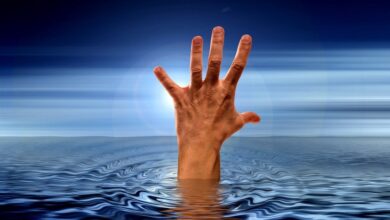 У чому сенс життя