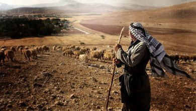 День пастора