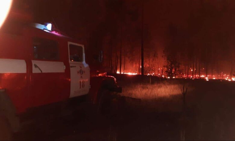 лісові пожежі