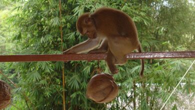 непрощення