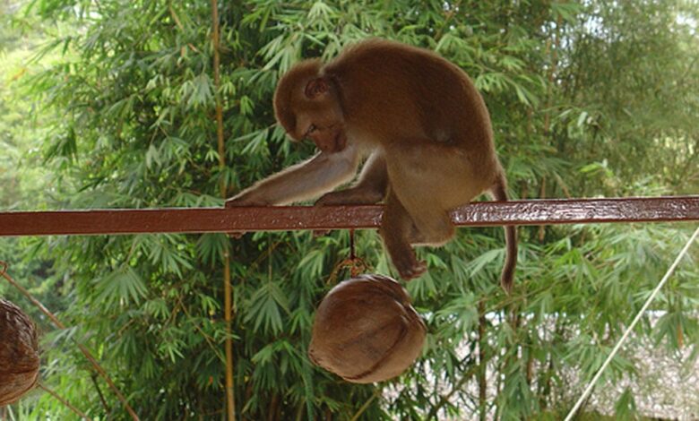 непрощення