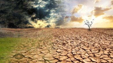 глобальне потепління