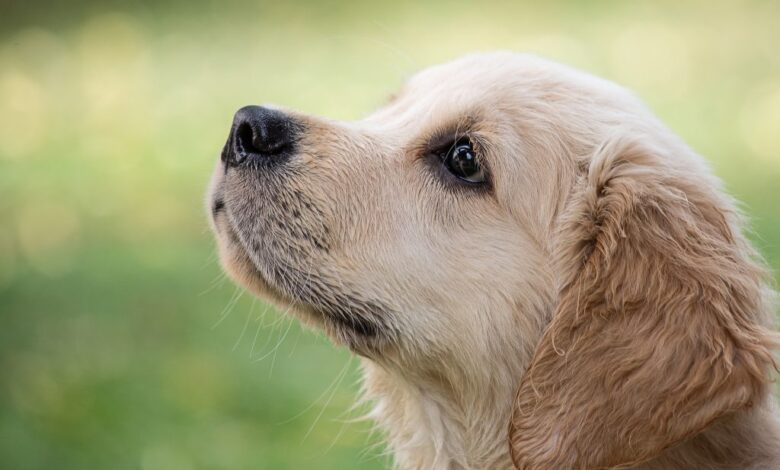 ти відчуваєш