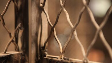 у Північній Кореї