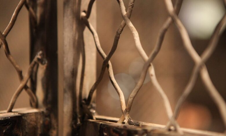 у Північній Кореї