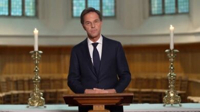 У Нідерландах