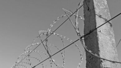 вживання вина