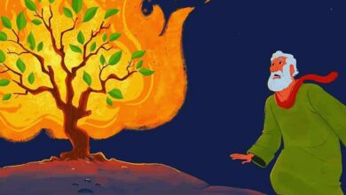 покликання