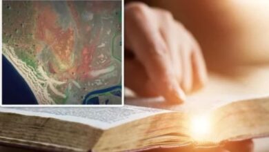 місто Фарсіс