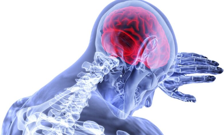 цікаві факти про організм