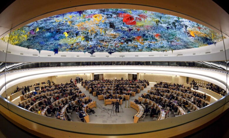 Управління ООН з прав людини