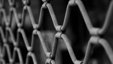 Свідки Єгови