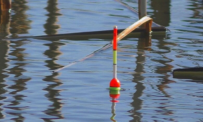 науковий метод