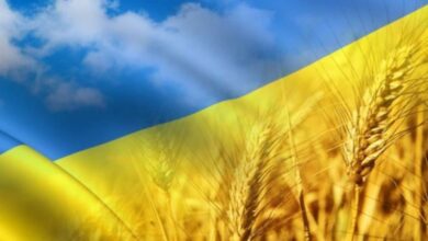 опитування КМІС