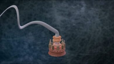 Розвиток біології