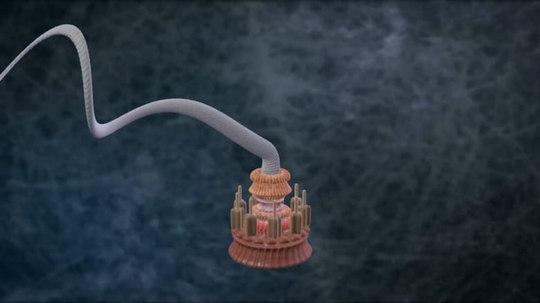 Розвиток біології